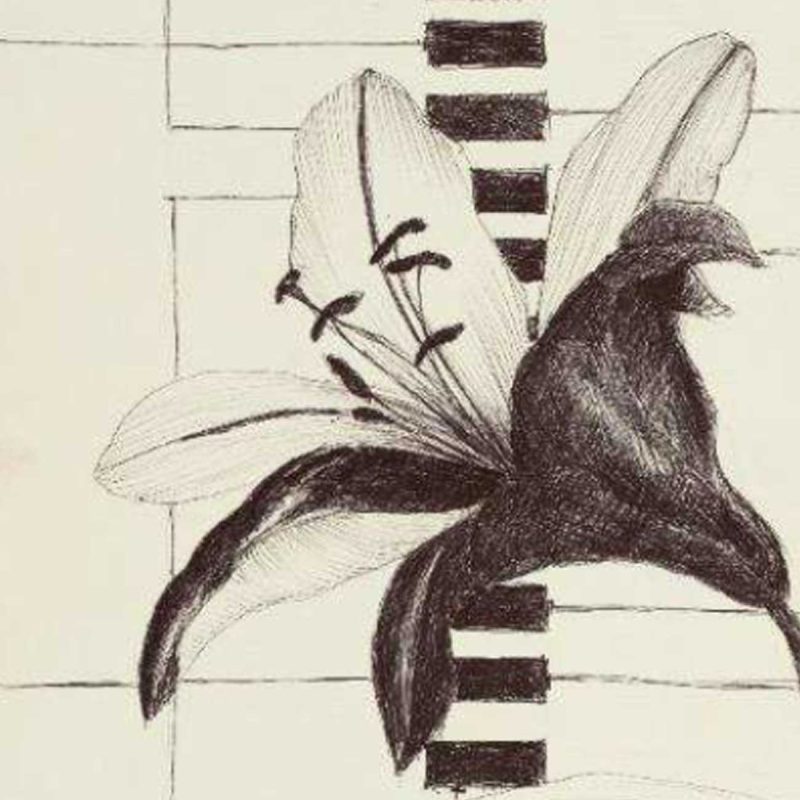 Orchidea e microcihp Disegno a penna su carta. cm.25x30